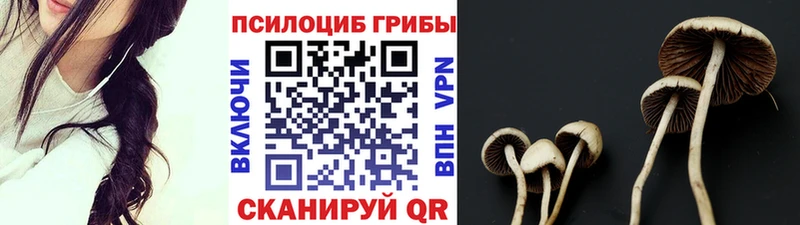 Купить где  Пыть-Ях  Псилоцибиновые грибы прущие грибы 